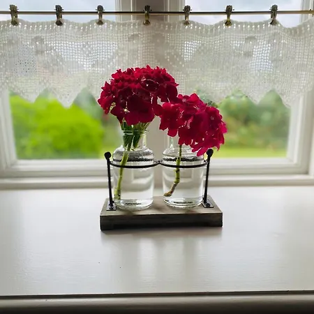 Appartement Ferienwohnung Unter Dem Reetdach *
